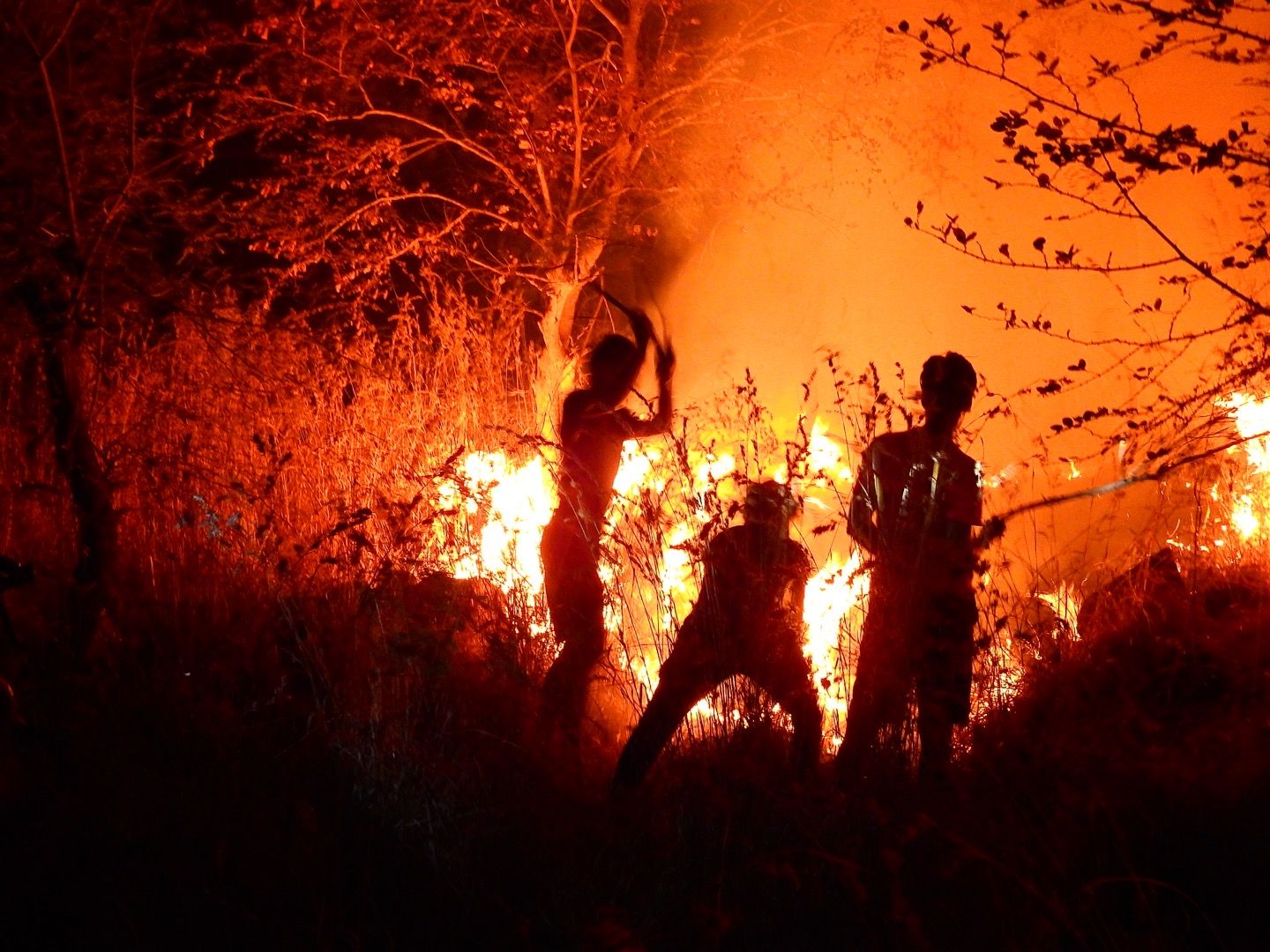 Regenboog Gallery Image