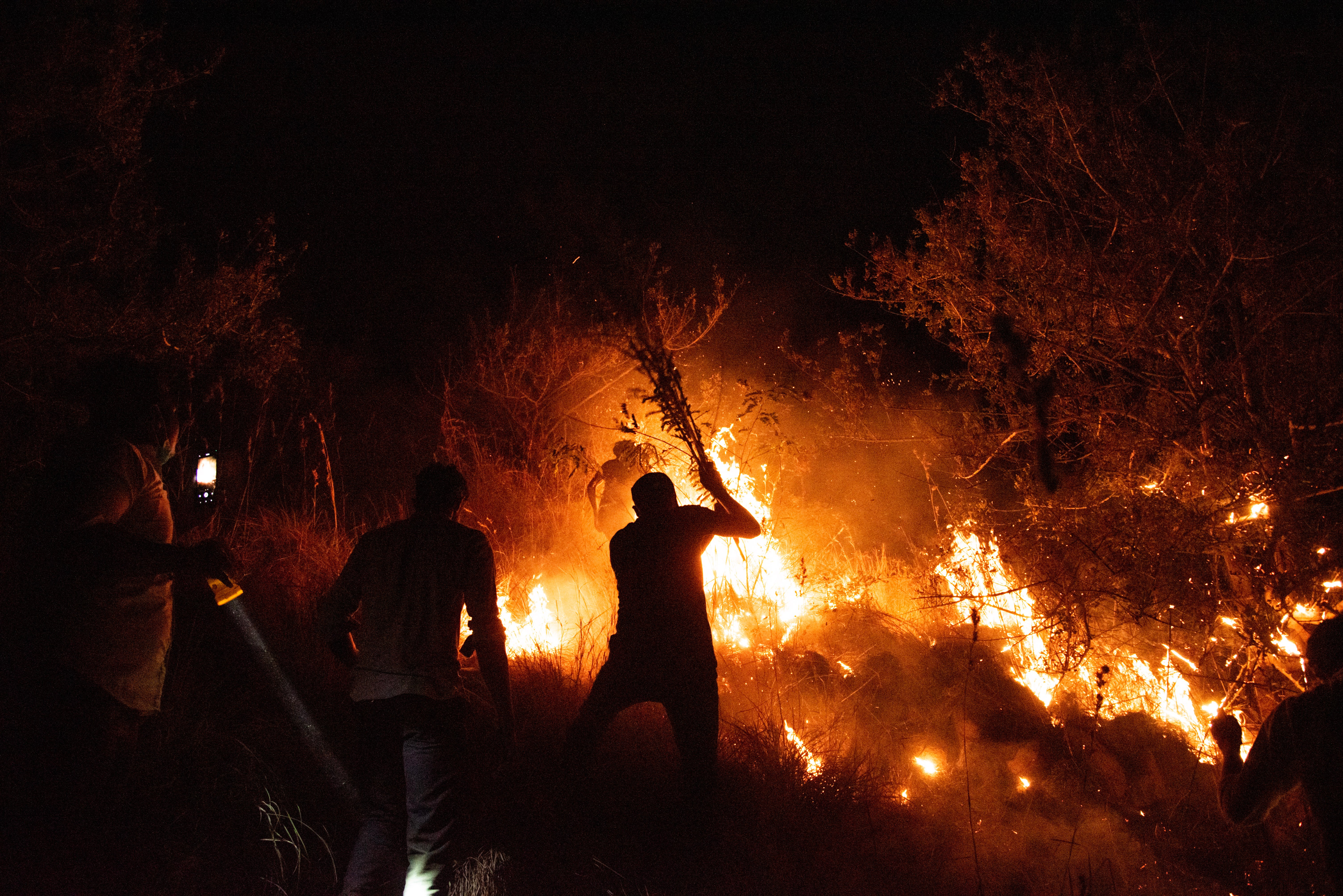 Forest Firefighting & Nature Cleaning