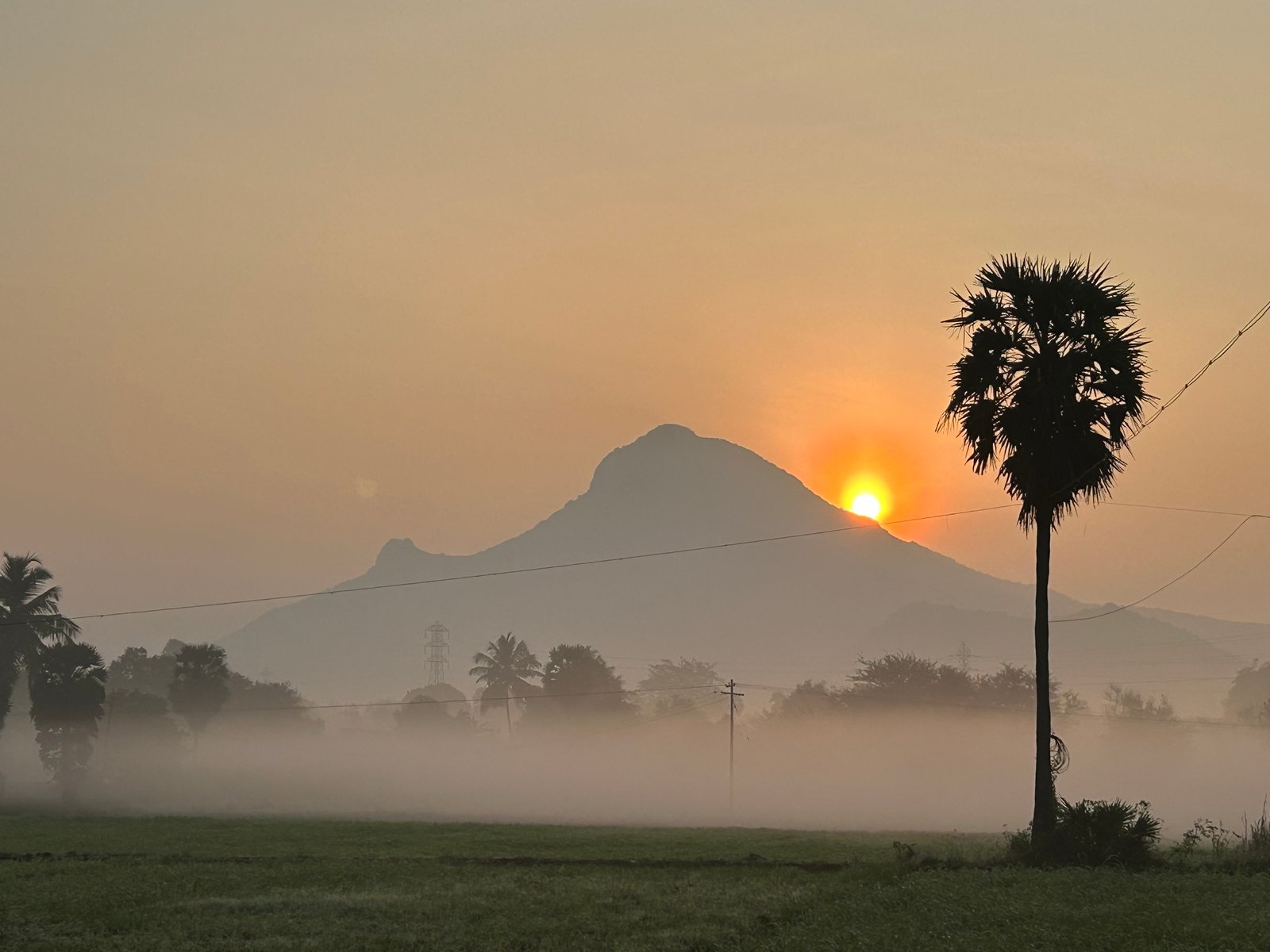 Regenboog Field Update